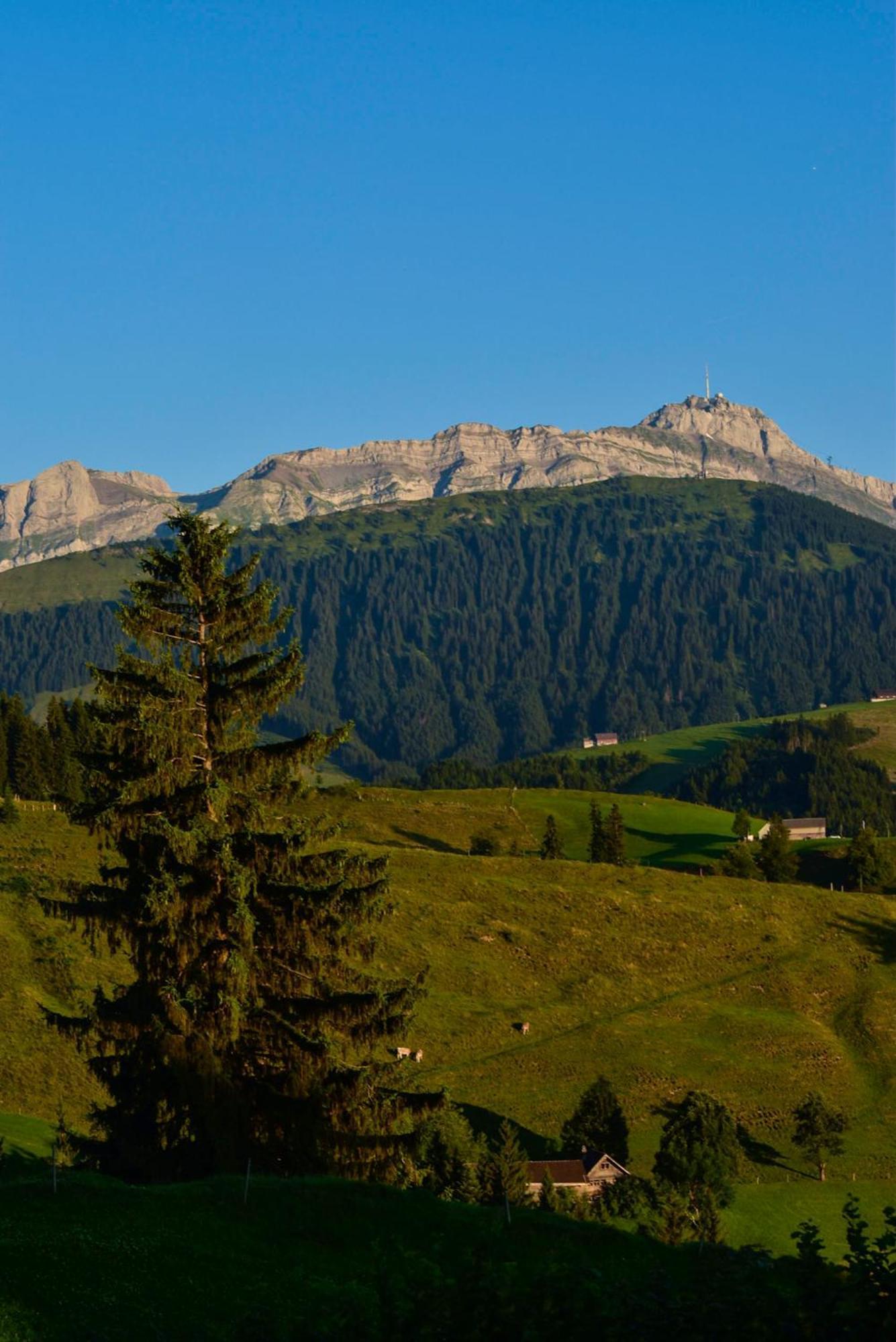 Ferienwohnung In Buehler Naehe Appenzell Buhler Екстер'єр фото